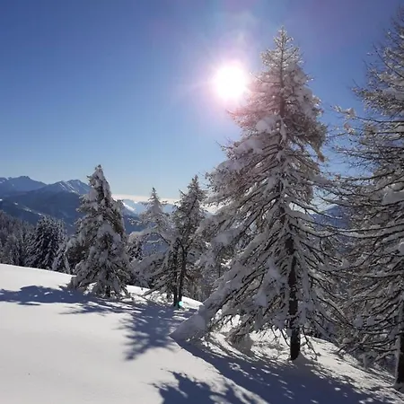 Apartement Steiner Apartment Lienz